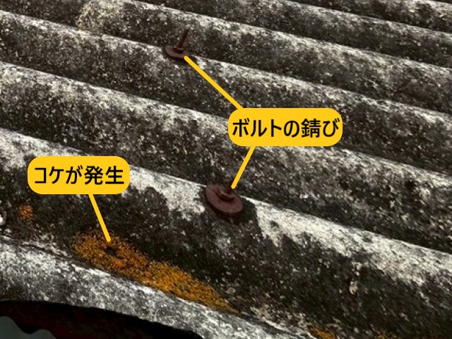 ボルト錆び　コケの発生